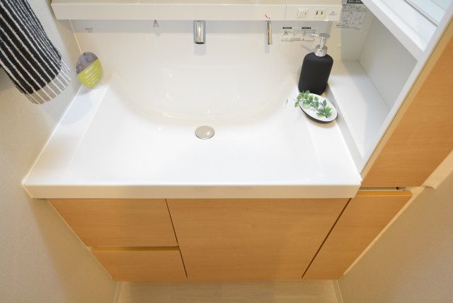 大森ハイツ 洗面室