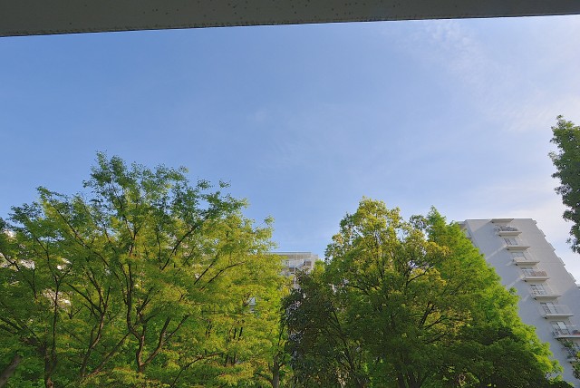 ファミリータウン東陽 バルコニー