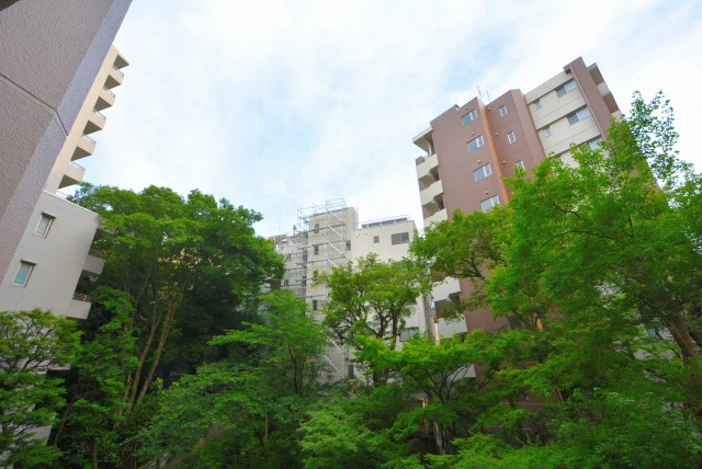 トーア駒込マンション ベランダ