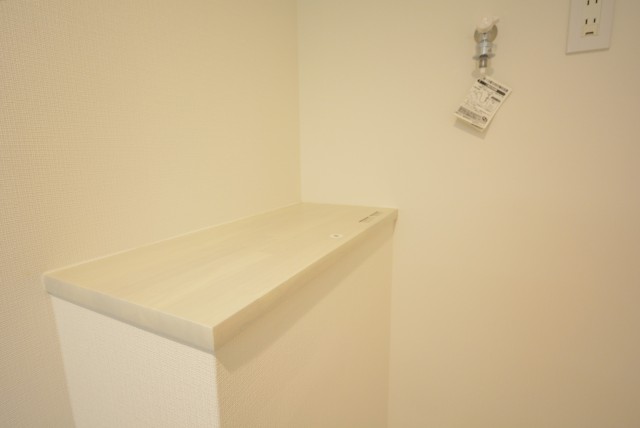 秀和第二自由が丘レジデンス 洗面室