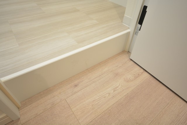 秀和第二自由が丘レジデンス 洗面室