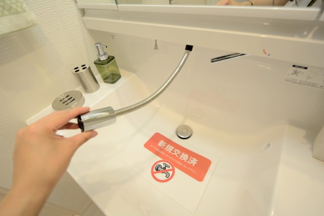 コスモ東長崎 洗面