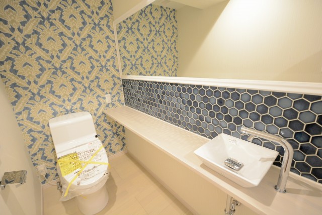 秀和第二自由が丘レジデンス トイレ