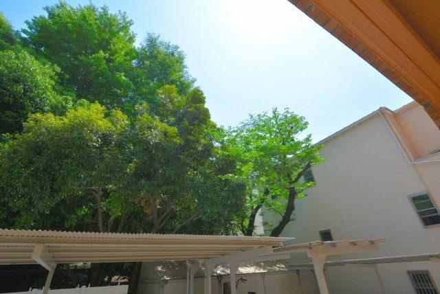 パシフィック西早稲田 バルコニー