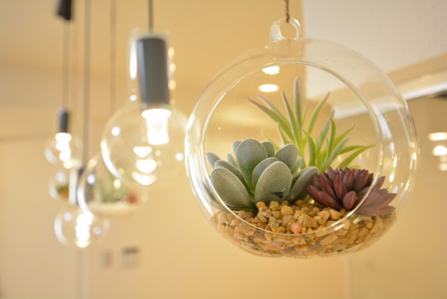 大森ハイツ LDK+洋室