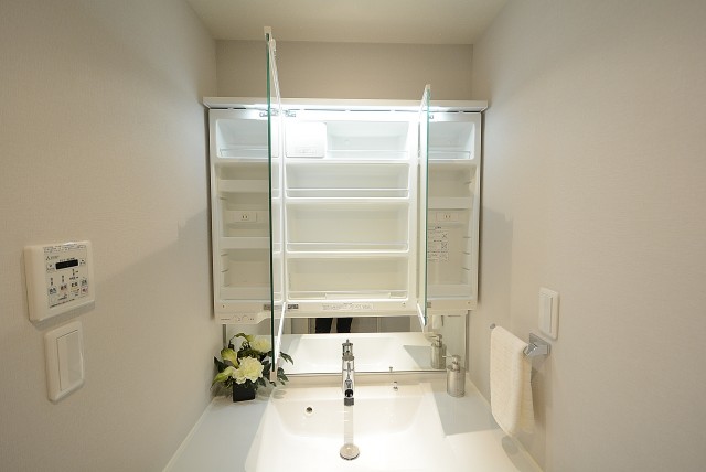 サンビューハイツ渋谷 (53)洗面