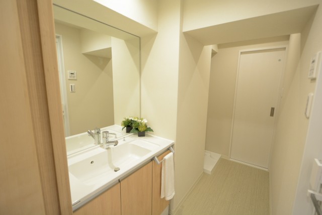 ライオンズマンション代々木 洗面