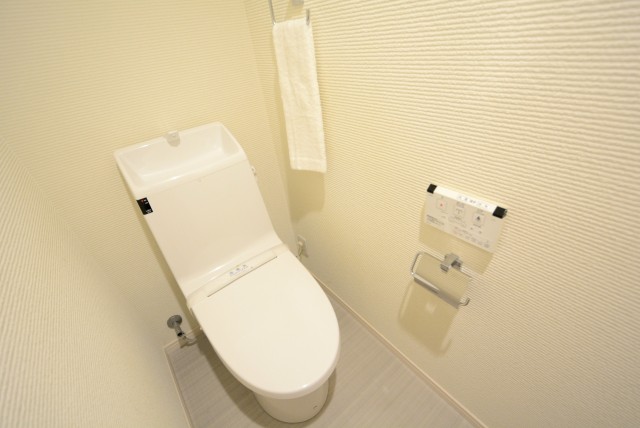 ライオンズマンション駒込第2 トイレ