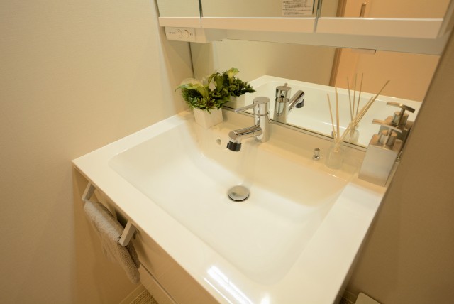 ニチメン目白ハイツ 洗面