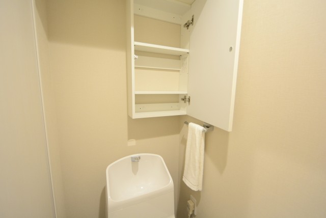 ライオンズマンション代々木 トイレ