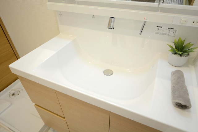 トーア駒込マンション 洗面