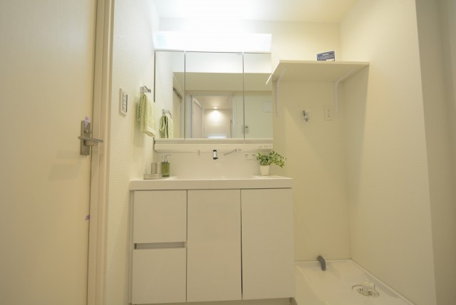 コスモ東長崎 洗面