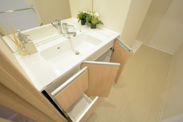 ライオンズマンション代々木 洗面