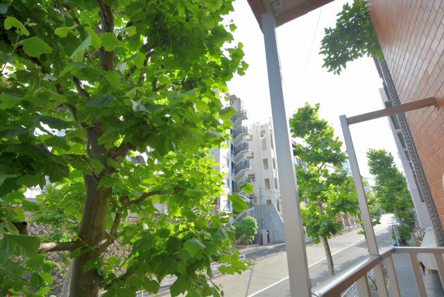 ライオンズマンション代々木 バルコニー