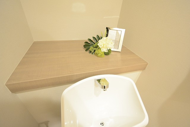 サンビューハイツ渋谷 (74)トイレ