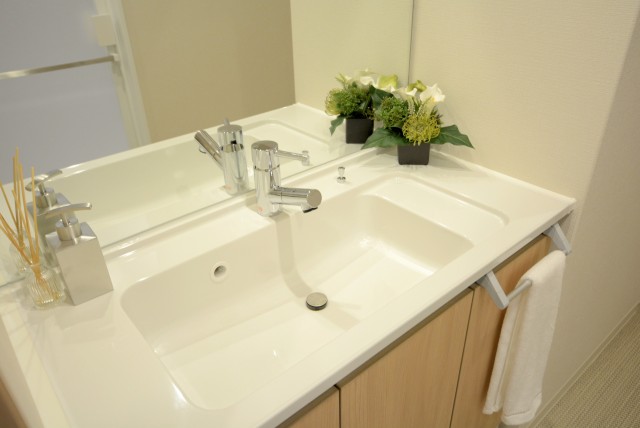 ライオンズマンション代々木 洗面