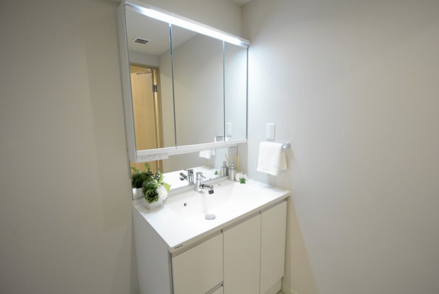 パシフィック西早稲田 洗面