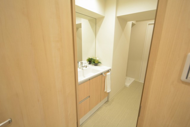 ライオンズマンション代々木 洗面