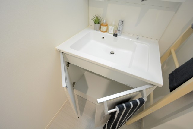 ライオンズマンション駒込第2 洗面