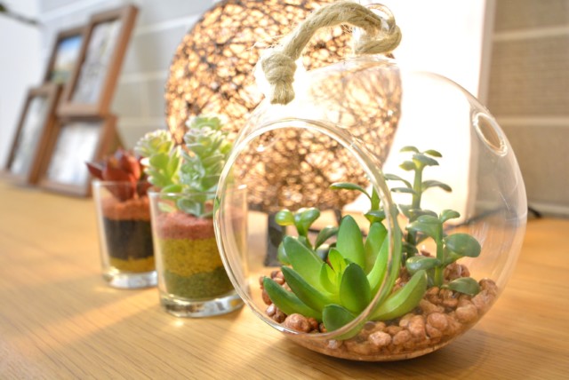 シャンボール荻窪 LDK