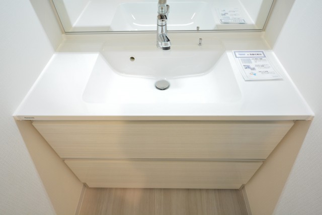 秀和第二自由が丘レジデンス 洗面室