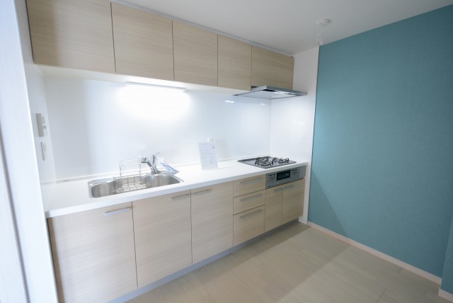 秀和第二自由が丘レジデンス キッチン