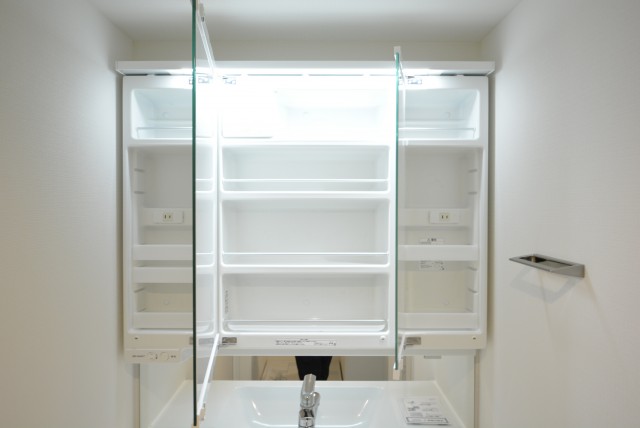 秀和第二自由が丘レジデンス 洗面室