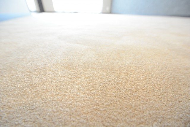 ファミリータウン東陽　玄関