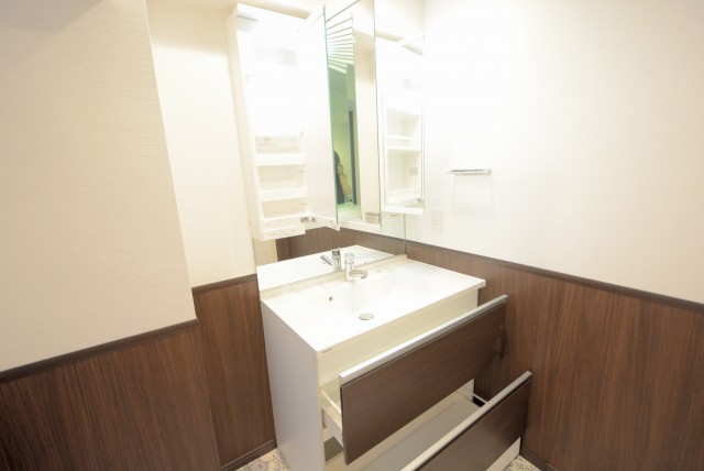 秀和第二自由が丘レジデンス 洗面