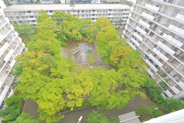 ファミリータウン東陽 洋室4.4