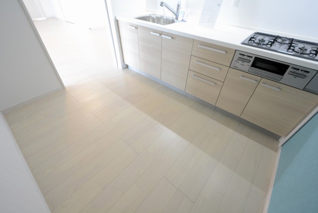 秀和第二自由が丘レジデンス キッチン