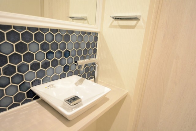 秀和第二自由が丘レジデンス トイレ