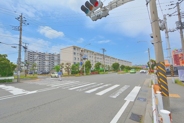 大津シーハイツ　仲介手数料無料