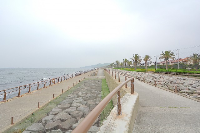 大津シーハイツ　仲介手数料無料