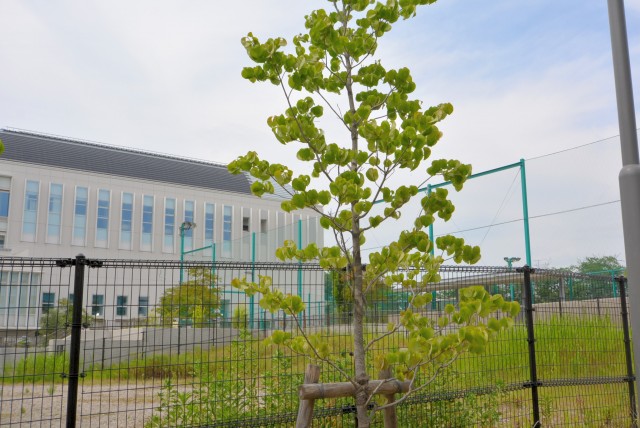 落合南長崎周辺