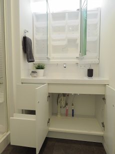 セザール第2中目黒　洗面化粧台