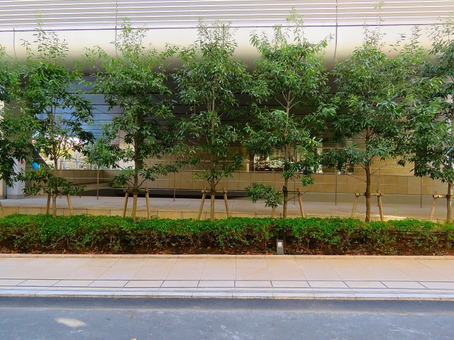 セザール第2中目黒　眺望