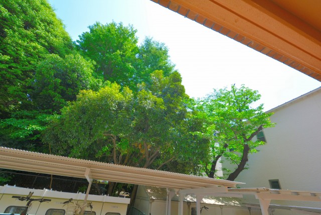 パシフィック西早稲田 バルコニー