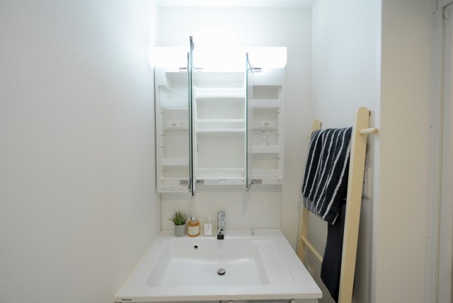 ライオンズマンション駒込第2 洗面