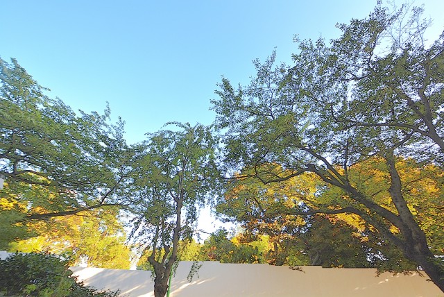 馬事公苑前ハイム ウッドデッキ