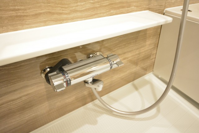 秀和第二自由が丘レジデンス 洗面室