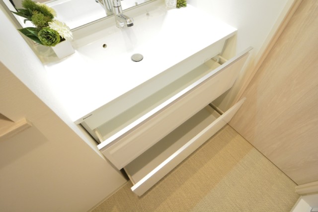 クレッセント目黒Ⅱ 洗面室