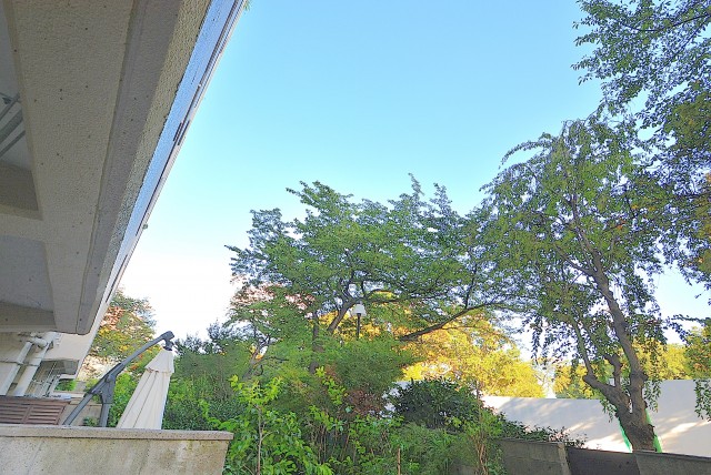 馬事公苑前ハイム ウッドデッキ