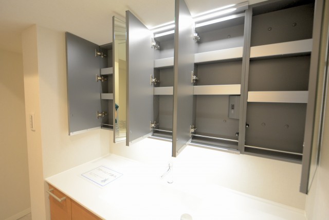 大森山王リハイム (42)洗面