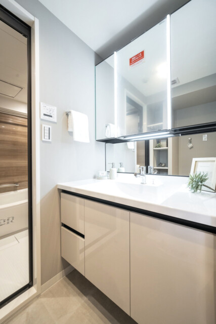 キャニオングランデ碑文谷南 洗面室