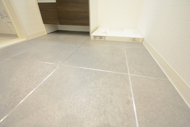 ライオンズマンション護国寺第３洗面