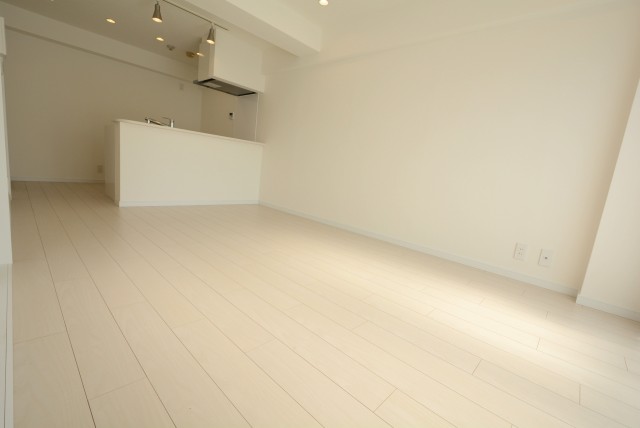 春日ビューハイツ LD