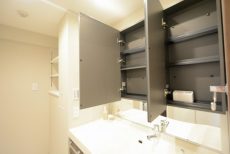 キャニオングランデ碑文谷南 洗面