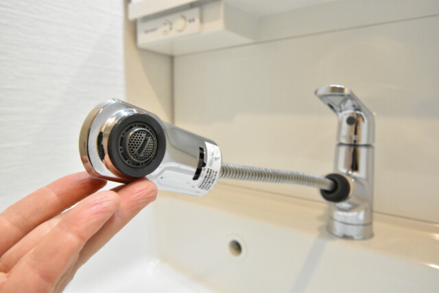 メゾン池尻大橋 洗面室