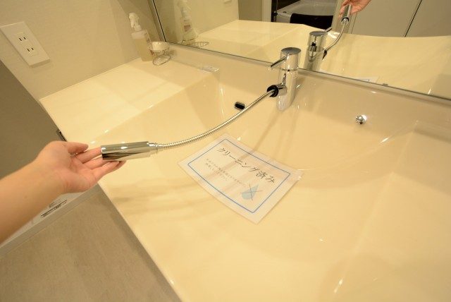 キャニオングランデ碑文谷南 洗面